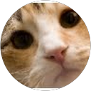 Erik Falkenström profile picture